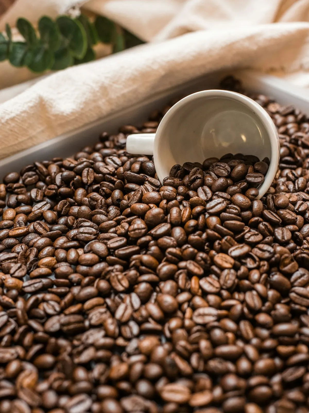 Rwanda Bourbon
